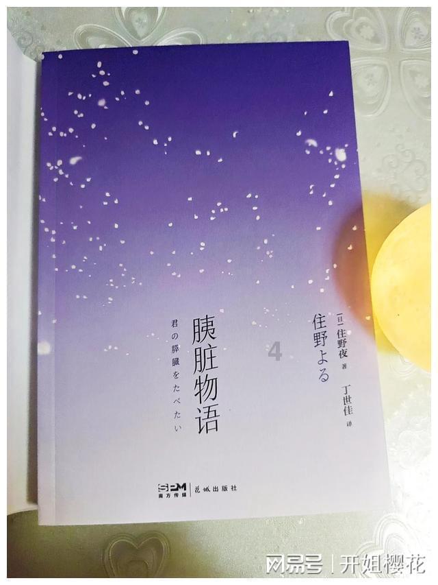 acer安全模式游戏画面